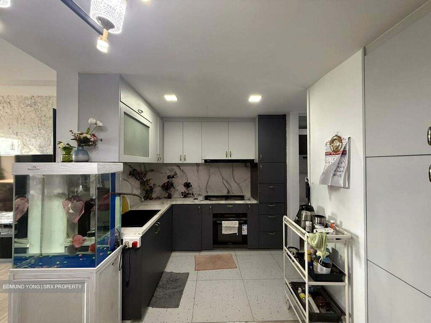 Lakeville (D22), Condominium #495588841